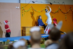 Edel_X-T2_20191201-3088