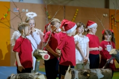 Edel_X-T2_20191201-3257